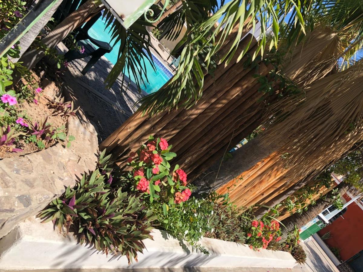 Hotel Calafia La Paz Ngoại thất bức ảnh